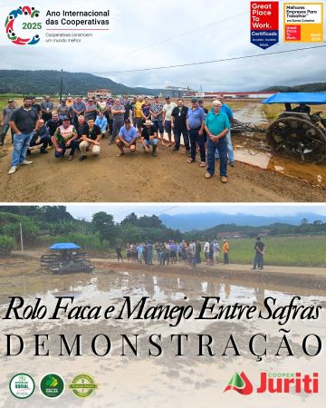 Noticia Inicial